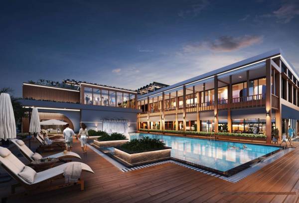  olive-greens Swimming Pool