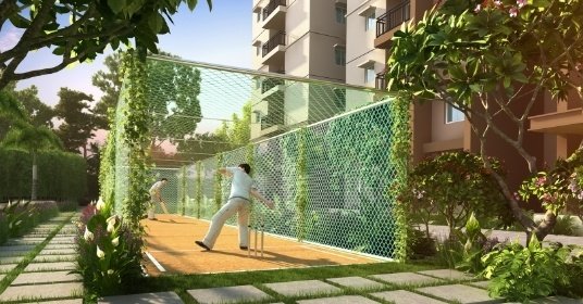  rwd waterfront Cricket arena