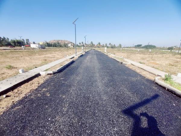  sankeswar-padmvati-nagar Internal Roads