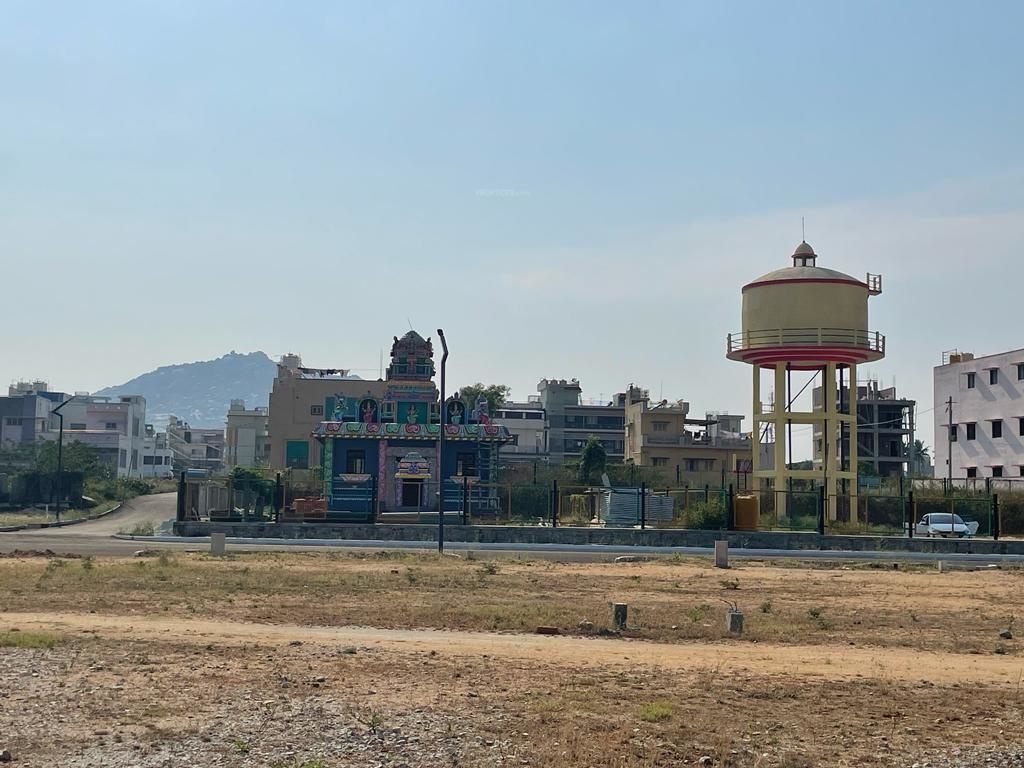  sankeswar padmvati nagar Plot