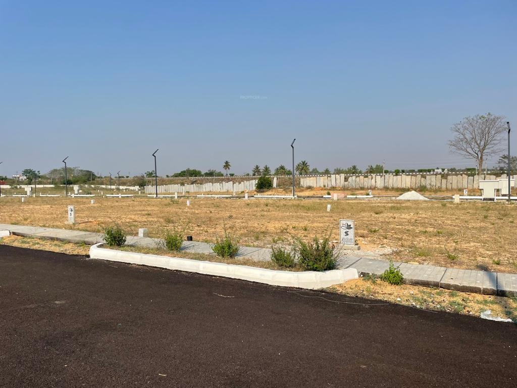  sankeswar padmvati nagar Plot
