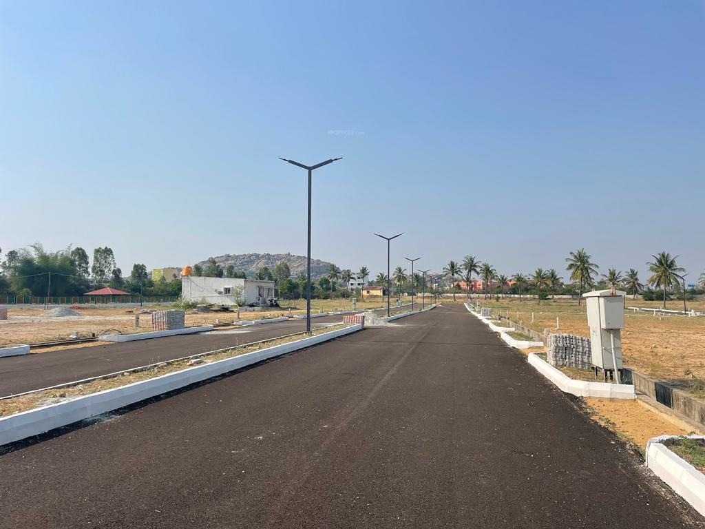  sankeswar padmvati nagar Plot