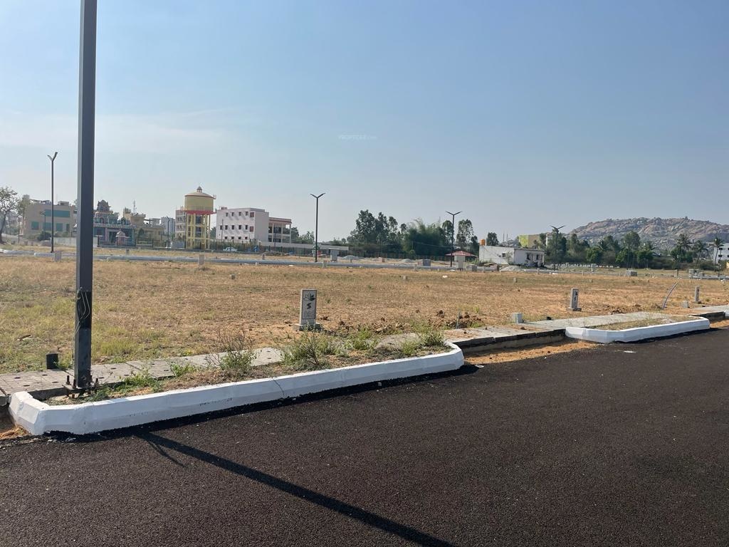  sankeswar padmvati nagar Plot