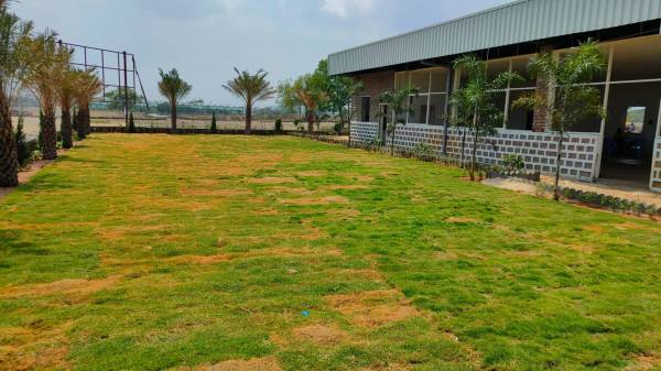  west-city-prime Plot