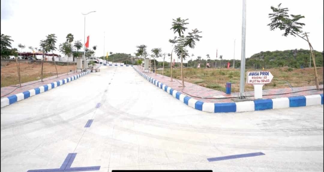  avasa pride Plot