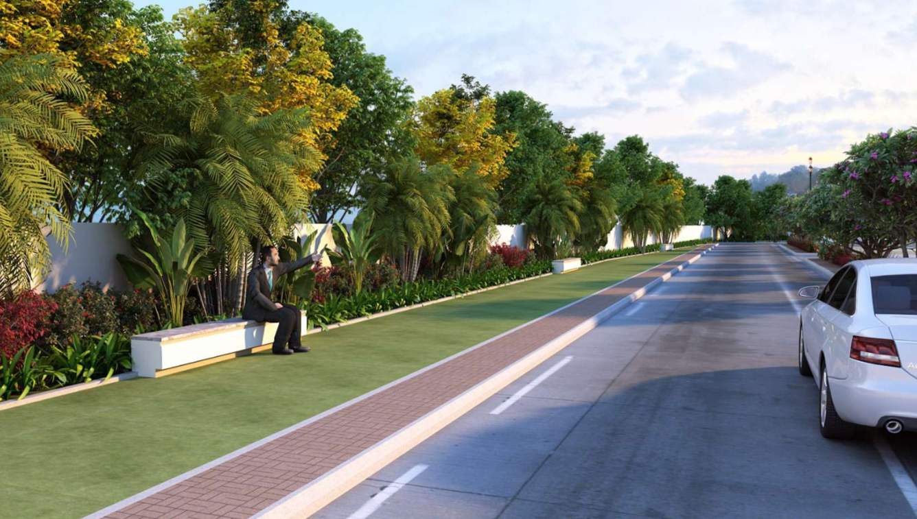  springs Internal Roads