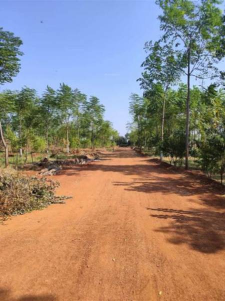  saptavarna-sandalwood-villa-ploting Plot