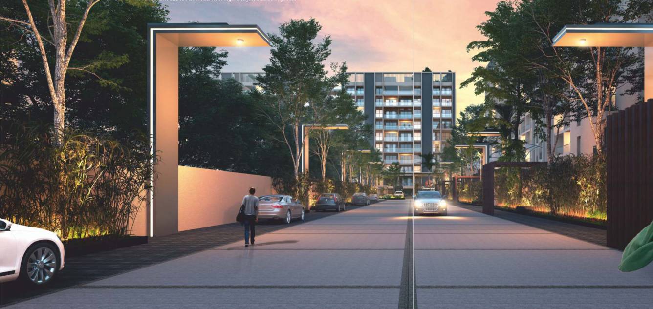  dream world my world Others