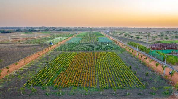  atmos-breathe Elevation