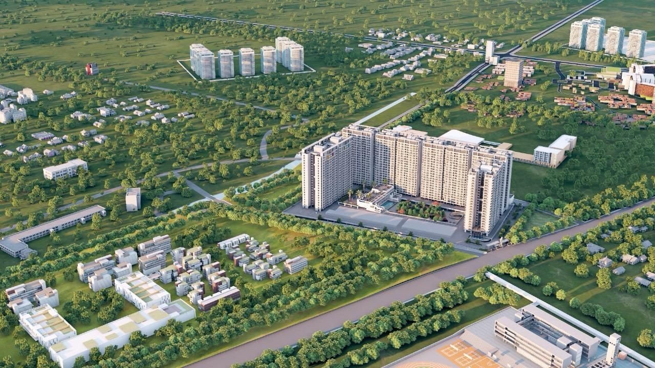 one world our world Others