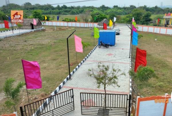  sun-flower-garden Plot