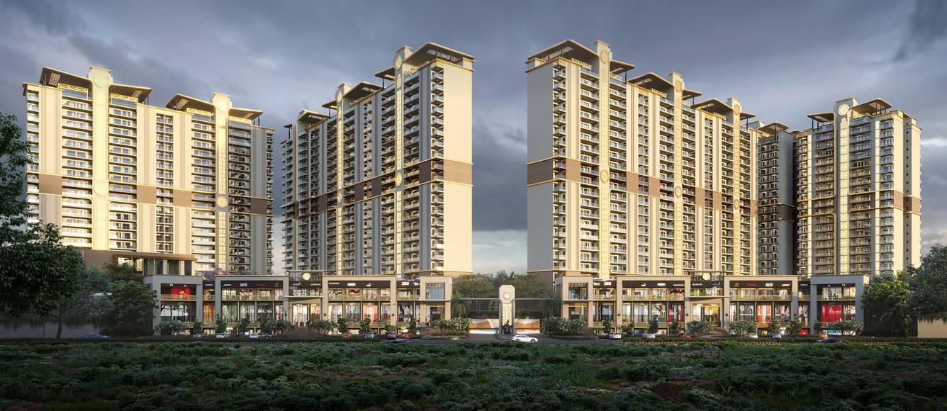 Elevation belgravia Elevation