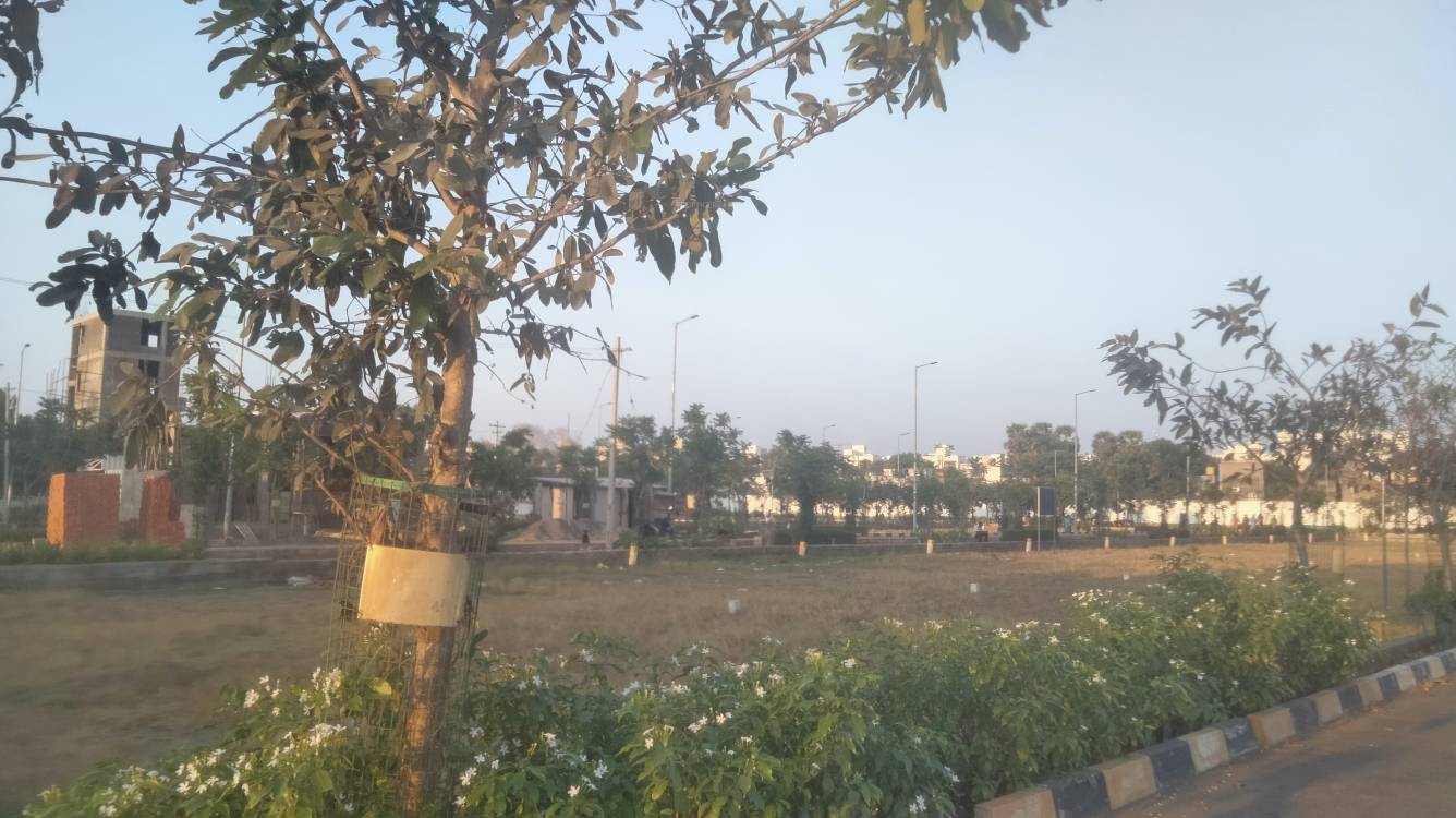  aura nandanandana Elevation