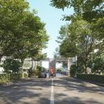  hirize-elysia Others