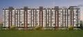 Iris Corp Capetown Heights