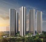 Elevation  forestville Elevation