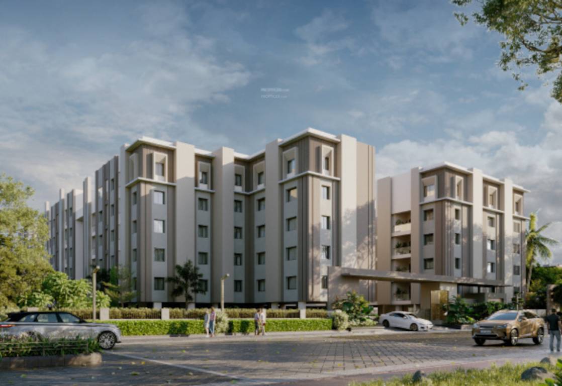  excellence Elevation