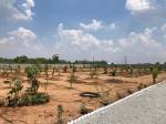  nandanavanam-farm-plots Elevation
