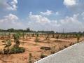 Subhodayam Properties Nandanavanam Farm Plots