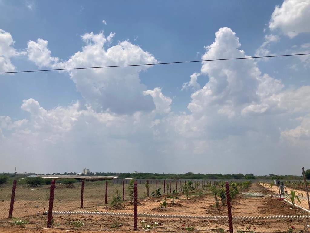 nandanavanam farm plots Plot