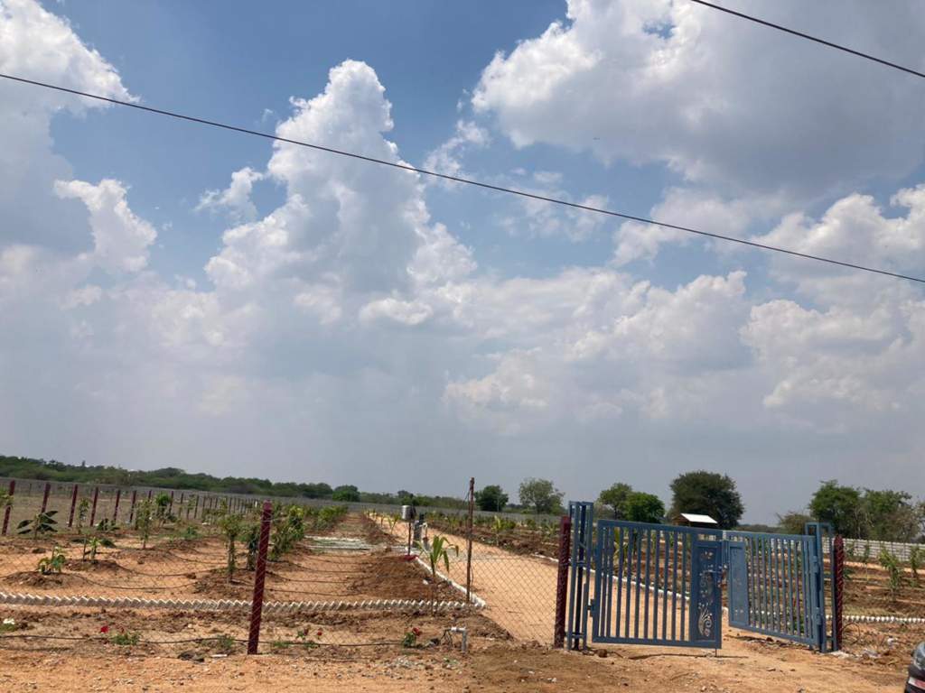  nandanavanam farm plots Plot