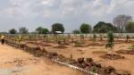  nandanavanam-farm-plots Plot