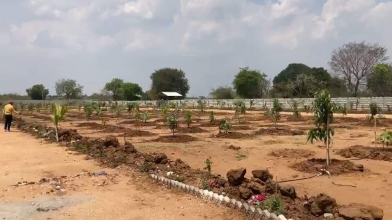  nandanavanam farm plots Plot