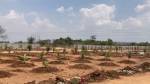  nandanavanam-farm-plots Plot