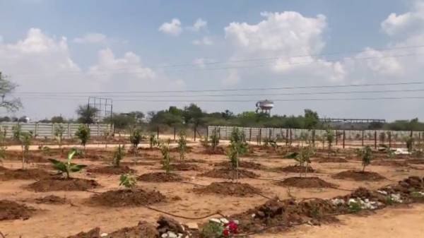  nandanavanam-farm-plots Plot