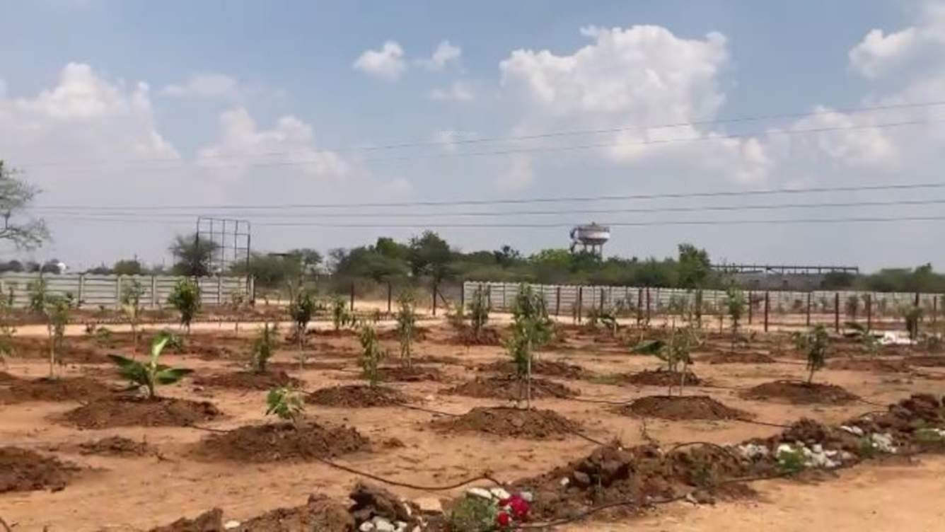  nandanavanam farm plots Plot