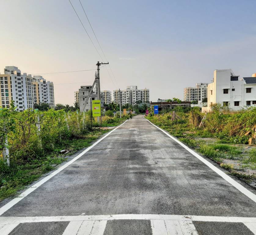 sydney sixer phase 2 Plot