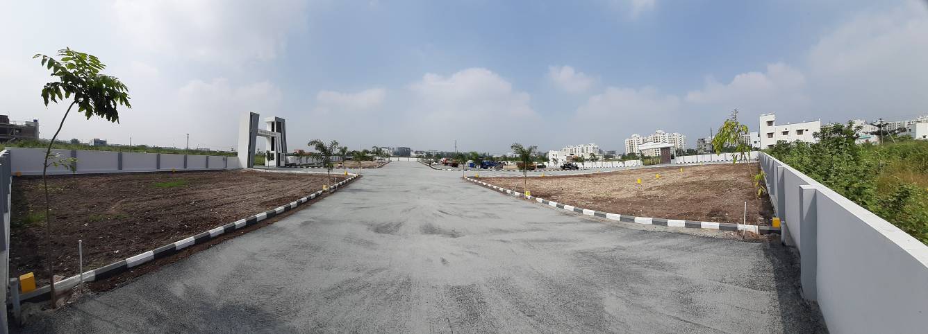 sydney sixer phase 2 Plot