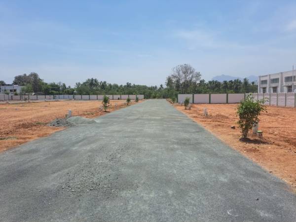  the-new-town Elevation