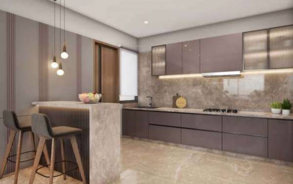  rivanta-aurovile Kitchen