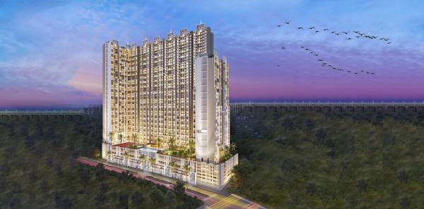 Elevation supremo-phase-i-salvia-d-wing Elevation