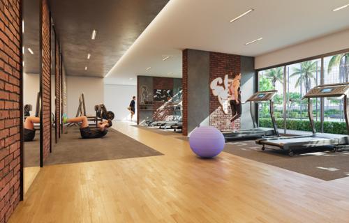  supremo-phase-i-salvia-d-wing Gymnasium