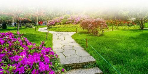  aspr-hills Landscape Garden and Tree Planting