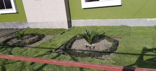  city Landscape Garden and Tree Planting