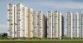 Radhey Constructions Skye