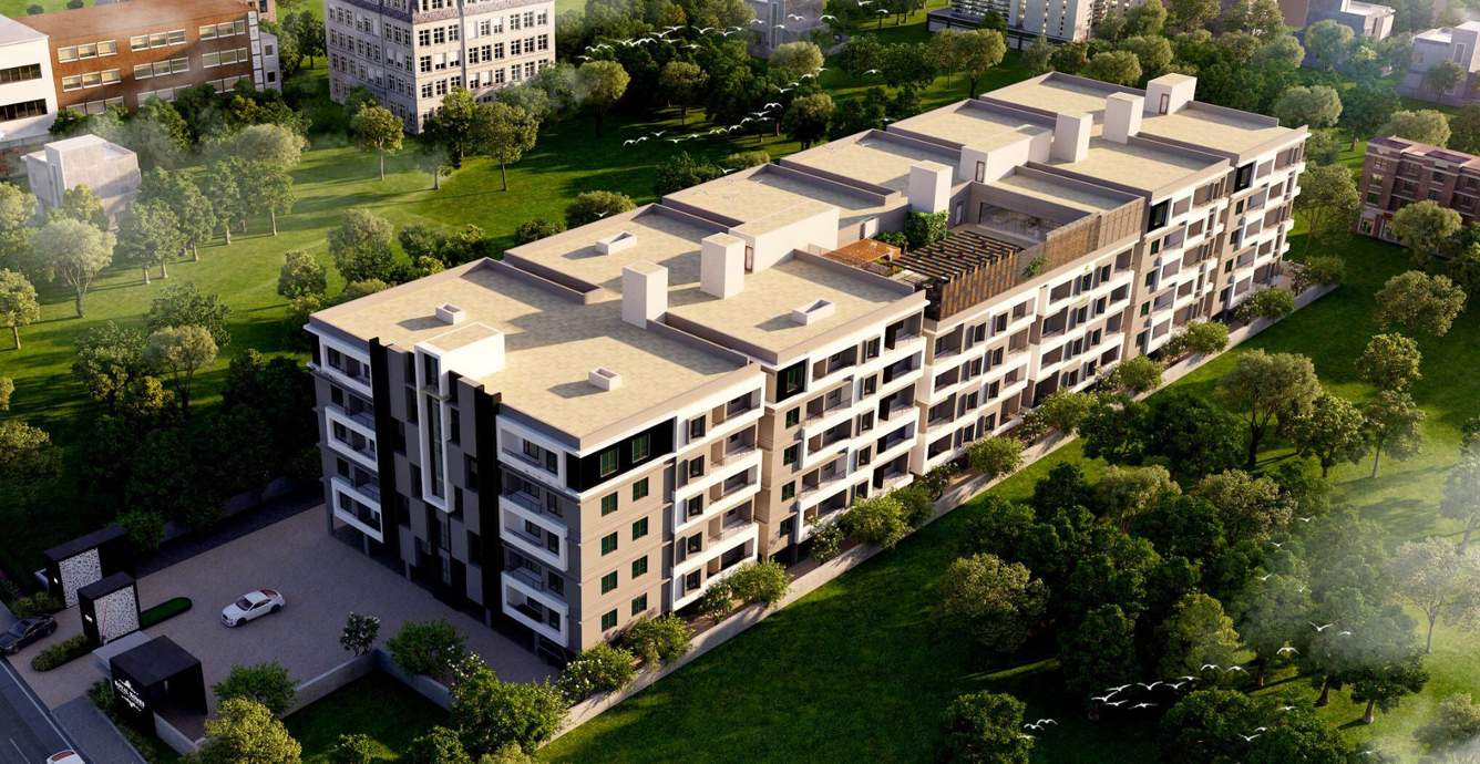  royal homes Elevation