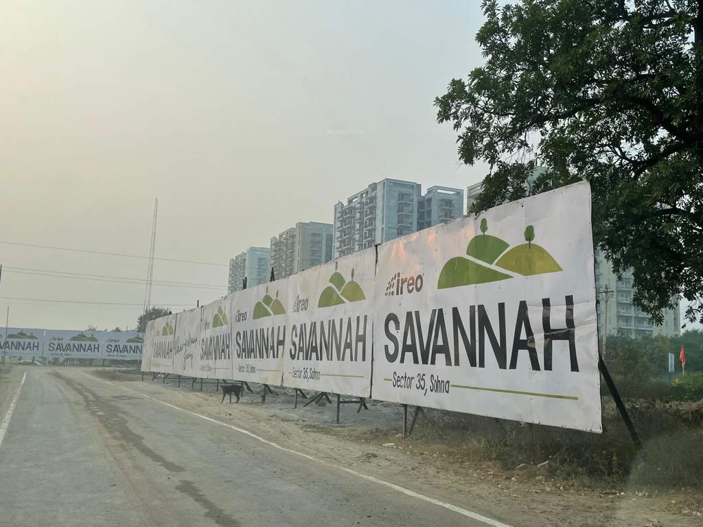 Faith Ireo Savannah
