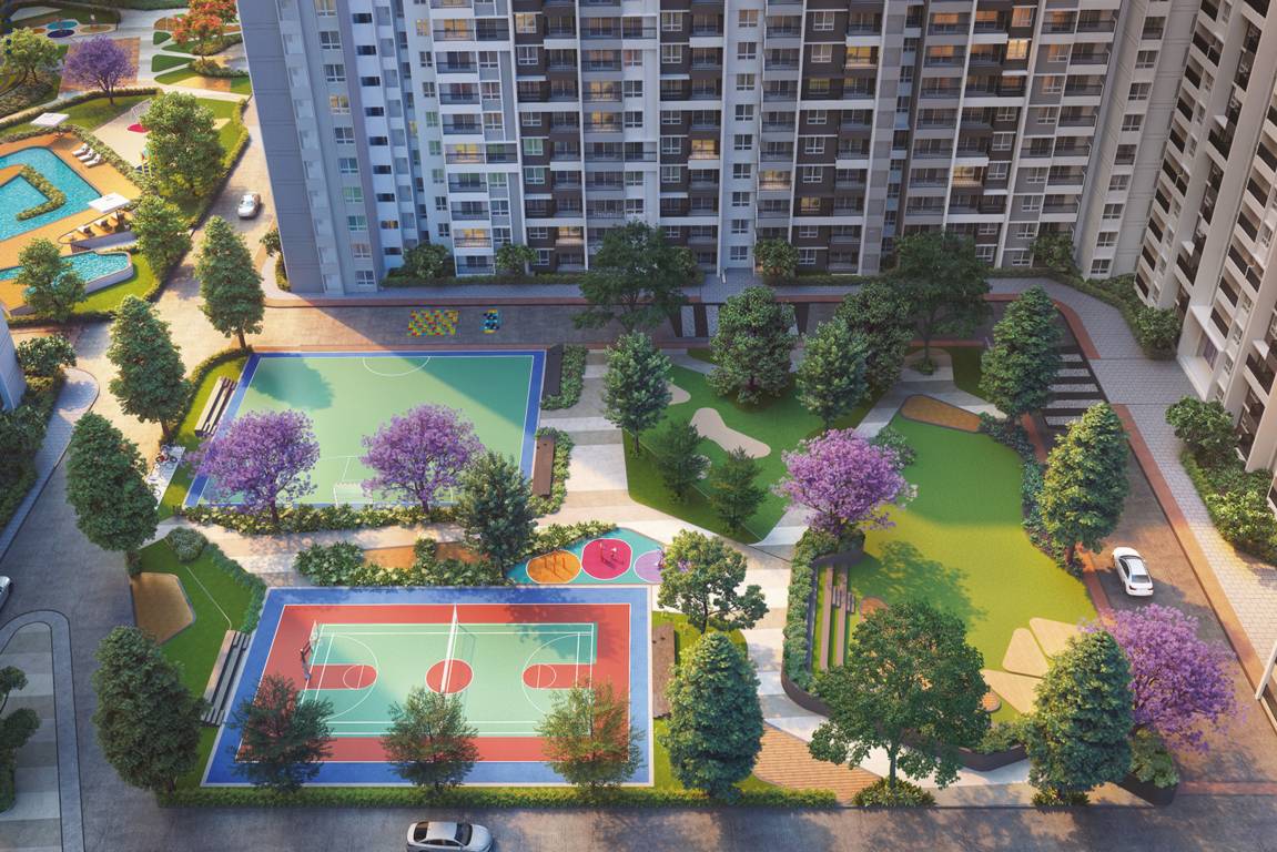  folium phase 2 Others