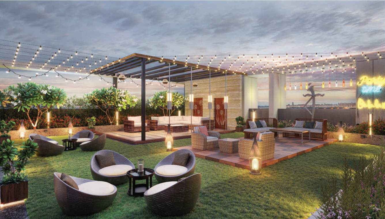  rosevill regius Terrace Garden