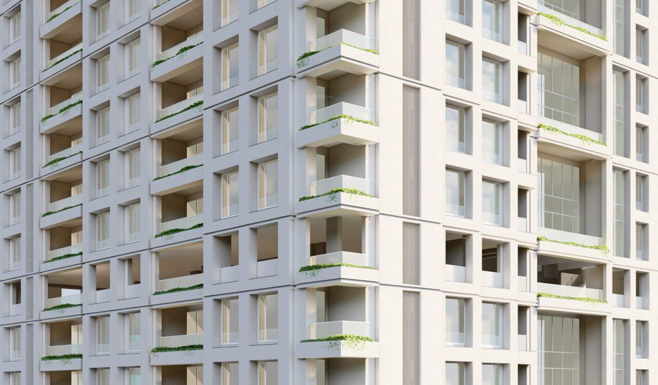  la marque Elevation