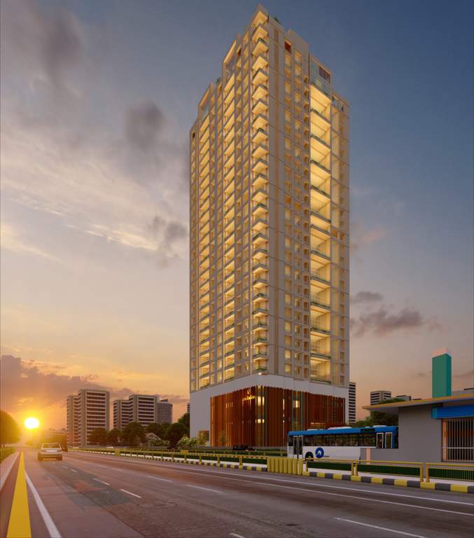  la marque Elevation