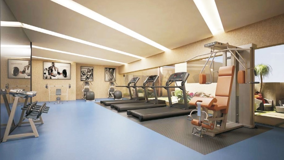  hare krishna florence Gymnasium