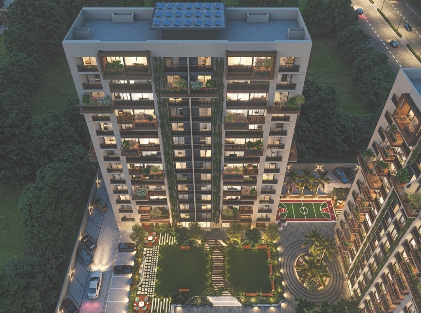 Primula Suryam Primrose