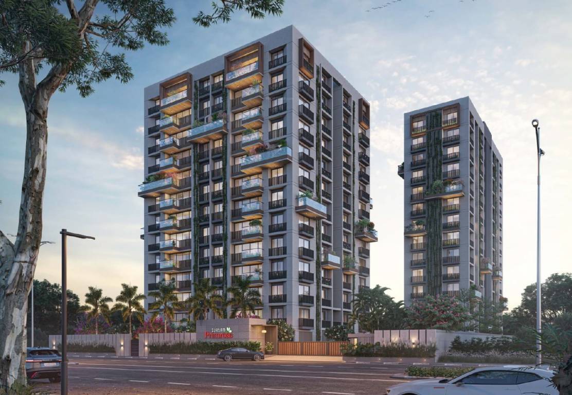 Primula Suryam Primrose