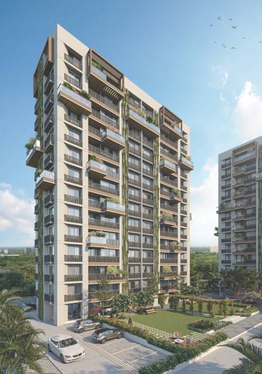 Primula Suryam Primrose