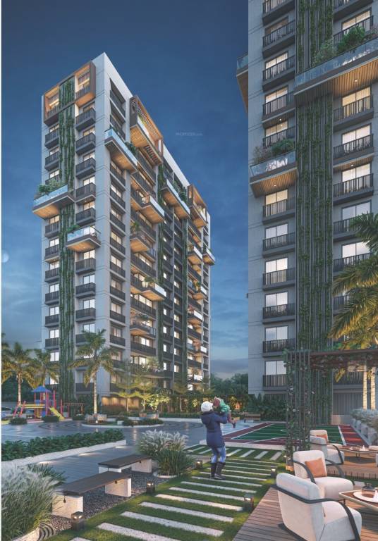 Primula Suryam Primrose